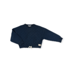 jbc-134-bleu-E48