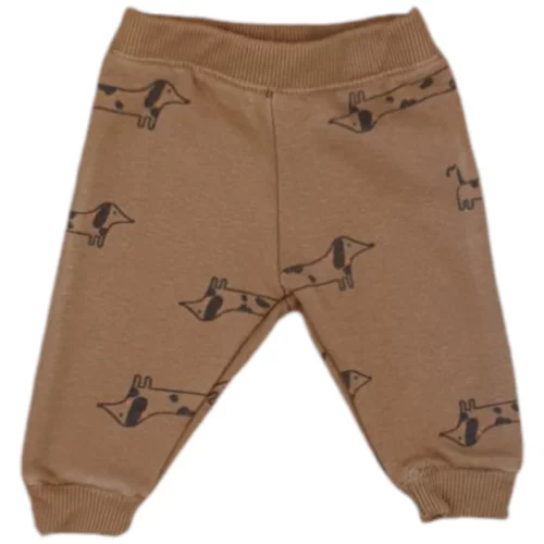 zeeman-50-brun-K58